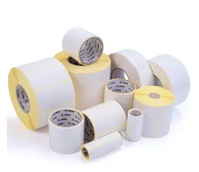 Zebra Z-Select 2000T papírové etikety TT 51x32mm (10 rolí) / role 200mm / rulička 76mm / 4240ks / 10 rolí