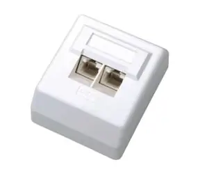 DATACOM Datová zásuvka UTP CAT6 2xRJ45 na omítku 45st. bílá