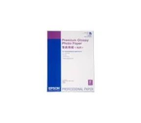 EPSON Paper A2 Premium Glossy Photo  (25 sheets)