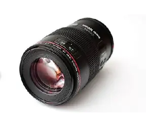 Canon EF 100mm f/2.8 Macro L IS USM