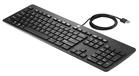 HP USB Slim Business Keyboard černá / Drátová klávesnice / USB / PT