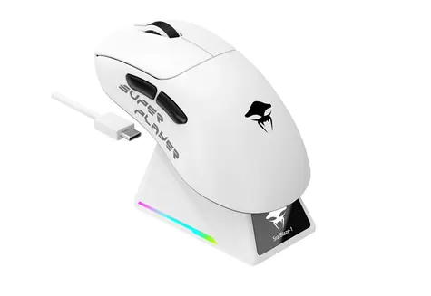 Havit StarBlaze-1 černobílá / Herní myš / 26000 DPI / 6 tlačítek / BT 5.0 / 2.4 GHz / USB / 1.5 m