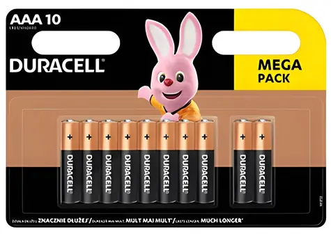Duracell Basic AAA / Baterie / alkalická / 1,5 V / 10 ks