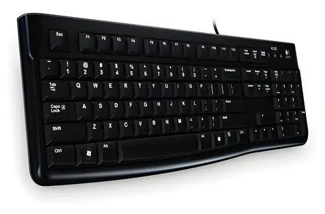 Logitech K120 for Business CH černá / klávesnice / drátová / USB