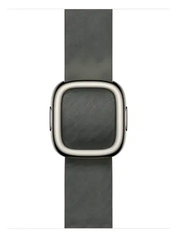 Apple Watch Modern Buckle 42mm - vel.L - šalvějově šedá / Řemínek s moderní přezkou / 160–180 mm
