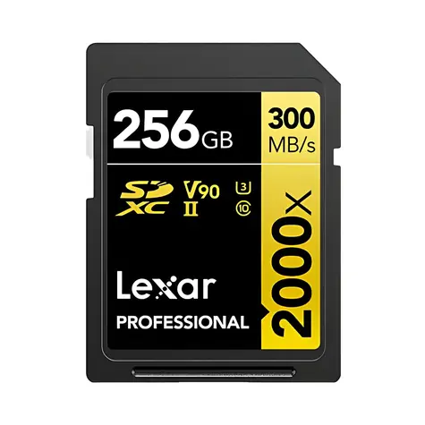 Lexar 256GB / Paměťová karta / SDXC