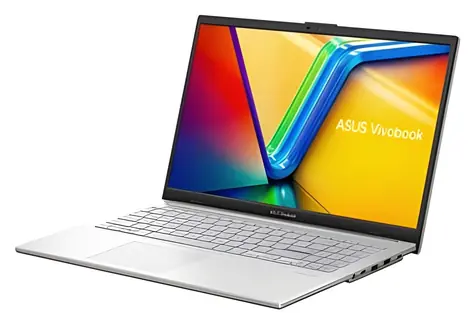 ASUS Vivobook Go 15 stříbrná / Notebook / 15.6