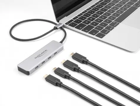 DeLock 64231 šedá / USB hub / USB-C / 4× USB-C / 10 Gbps