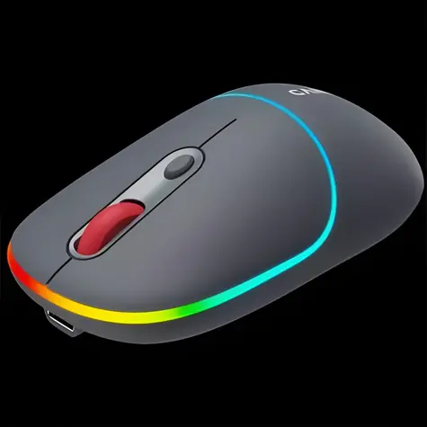 Canyon MW-22 tmavě šedá / Optická bezdrátová myš / RGB / 800/1200/1600 dpi / 4 tlačítka / BT + 2,4 GHz / 650 mAh