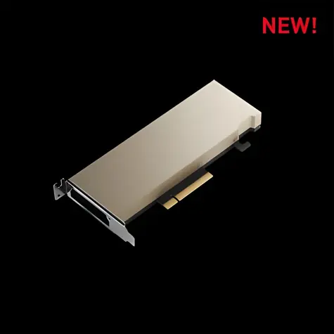 PNY NVIDIA RTX A2 Low Profile / Grafická karta / 16GB GDDR6 / 128-bit / PCIe 4.0 x8 / Passive / Single slot