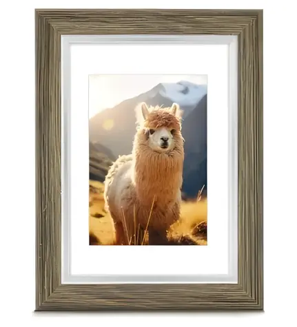 Hama LIMA rámeček plastový olivová / Rámeček na fotografie / 15x20 cm