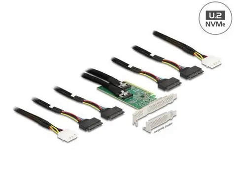 DeLock PCI Express x16 / Řadič / 4x U.2 SFF-8639 NVMe / PCIe 4.0 / 64 Gbit/s