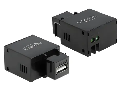 Delock / Keystone modul / USB Type-A nabíjecí zásuvka / 2,1 A / plochý / černý