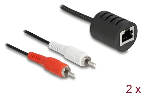 DeLock RJ45 (Bu) - 2x Cinch (St) / Audio adaptér / Plug & Play / 2 ks v balení