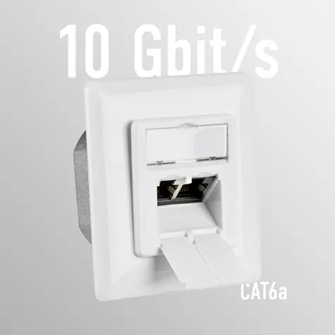 EFB bílá / Datová zásuvka / 2x RJ45 / CAT6a / STP / pod omítku