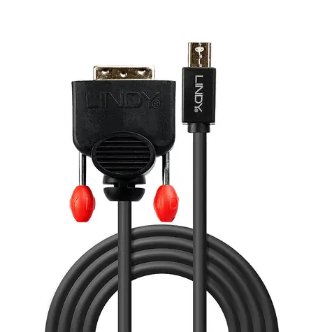Lindy Mini DisplayPort - DVI-D černá / Redukce / 1920×1200 px / 2 m