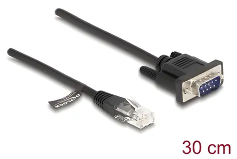 DeLock / Kabel RJ45 na sériový RS-232 D-Sub9 / konzolový / 0,3 m / černá