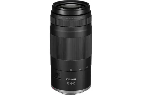 Canon RF 75-300mm F4-5.6 / Objektiv / Pro Canon EOS R / Zoom
