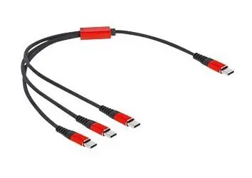 DeLock USB-C (M) - USB-C (M) 30 cm černá / Kabel / USB 2.0 / 5V, 3A