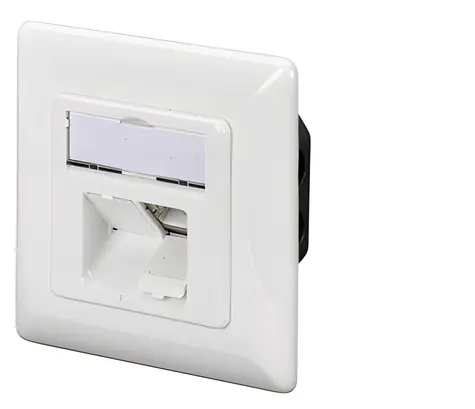 Digitus CAT 6A síťová zásuvka bílá / Síťová zásuvka / 2x RJ-45 / stíněná / pod omítku