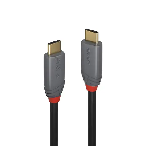 Lindy Anthra Line USB-C - USB-C 1m černá / Kabel USB / USB 3.1 Gen 2 / 10 Gbit/s / PD 100W