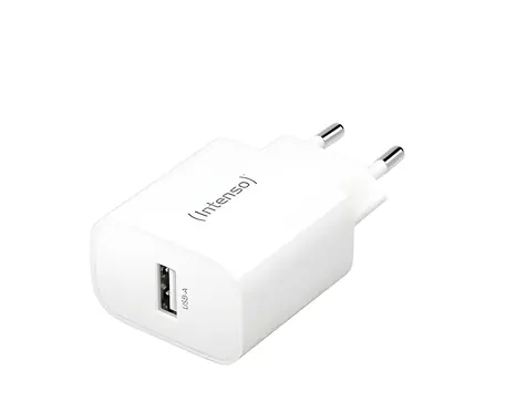 Intenso Power Adapter bílá / Nabíjecí adaptér / 1x USB-A / 5V / 1A / 5W