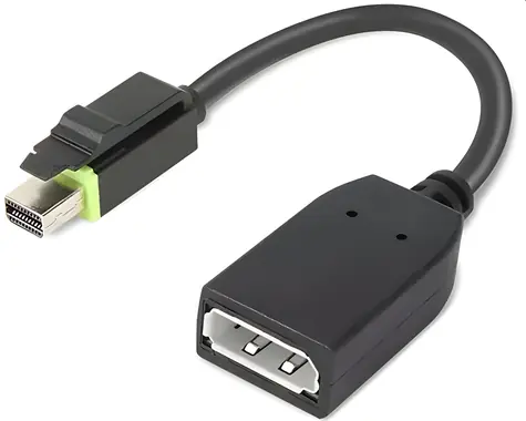 Lenovo redukce Mini DisplayPort na DisplayPort / Redukce / 4K UHD / černá