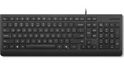 Lenovo Essential černá / Drátová klávesnice / CZ/SK layout / 1x USB-A