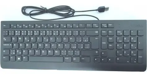 Lenovo Essential Wired Keyboard černá / Klávesnice / drátová / USB-A / CZ/SK