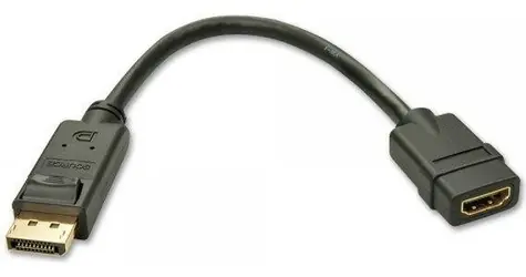 Lindy 41005 černá / Adaptér / DisplayPort - HDMI / 1920×1080 px / 0,15 m