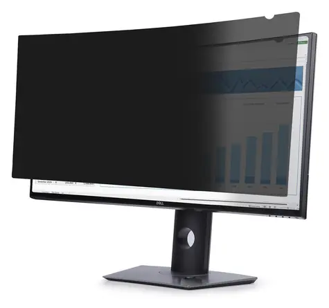 StarTech Filtr pro zvýšení soukromí pro Dell P3424WE / Filtr displeje / Oboustranný / Odnímatelný