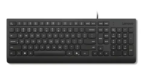 Lenovo Essential Wired Keyboard černá / Klávesnice / Drátová / USB-A / US