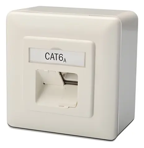 Digitus modulární dvojzásuvka CAT6A bílá / TP zásuvka / Class EA / stíněná / na omítku / LSA