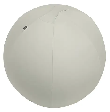 Leitz Ergo Cosy gymnastický míč světle šedá / Gymnastický míč / O 75 cm / nosnost 150 kg