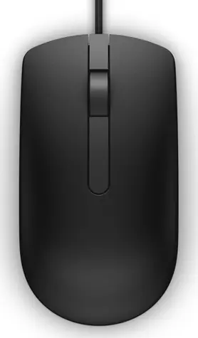 DELL MS116 / Optická myš / 1000dpi / 2 tlačítka + rolovací kolečko / USB / 1.8 m