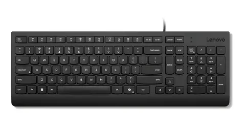Lenovo Essential Wired Keyboard černá / Klávesnice / Drátová / USB-A / Numerická klávesnice / US