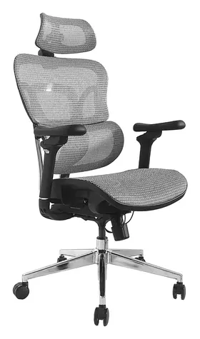 Equip Ergonomická kancelářská židle šedá / Kancelářská židle / síťový sedák / opěrka hlavy / nosnost 150 kg