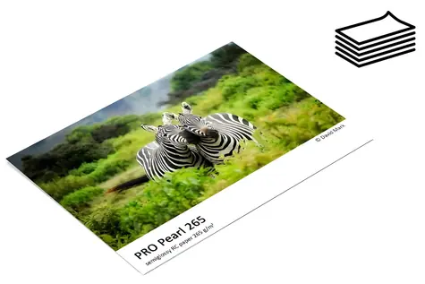 Fomei PRO Pearl 265 / Fotopapír / Polomatný / A4 / 265 g/m2 / 5 listů