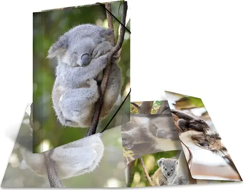 HERMA Desky s gumičkou Koala / Desky na dokumenty / A4 / Polypropylen / Lesklé / 3 chlopně