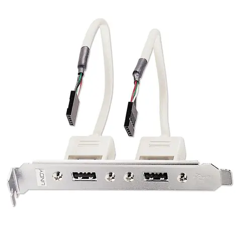 Lindy Slotblech USB adaptér / Redukce / 2x USB-A - 2x IDC 5pin / 0,2 m