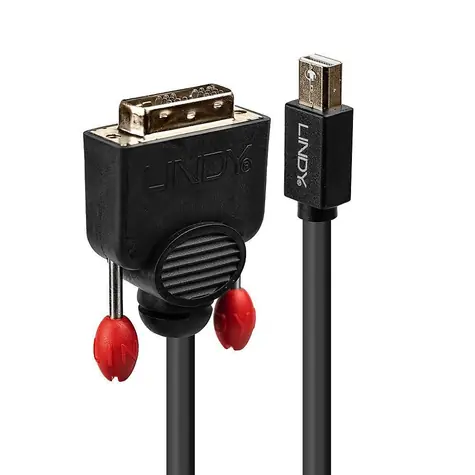 Lindy Mini DisplayPort na DVI-D černá / Kabel / 3 m / 1920 x 1200 px / 60 Hz