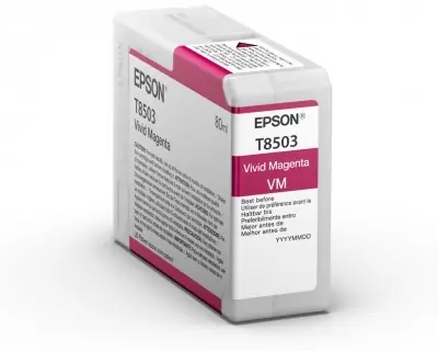 Epson T54X300 Vivid Purpurová / Cartridge / UltraChrome HDX/HD / 350 ml