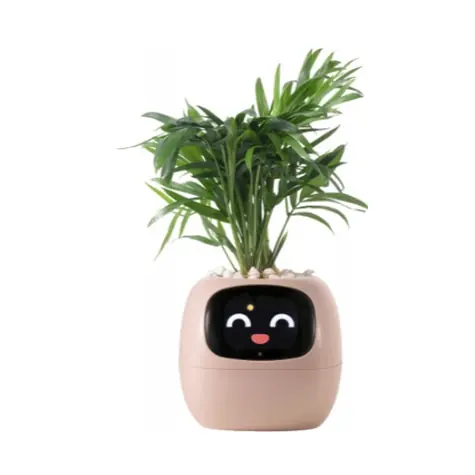 PlantsIO IVY růžová / Chytrý květináč