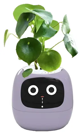 PlantsIO IVY fialová / Chytrý květináč