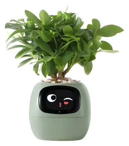 PlantsIO IVY zelená / Chytrý květináč