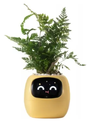 PlantsIO IVY žlutá / Chytrý květináč