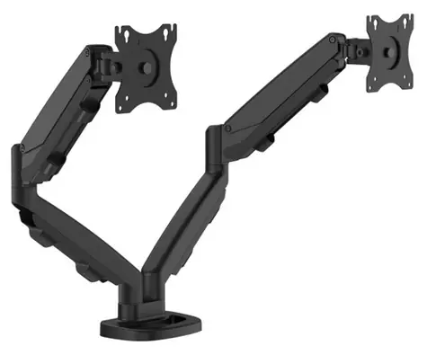 Fellowes EPPA černý / Držák monitoru / 2 ramena vedle sebe / Nosnost 8 kg/rameno / Max. 39