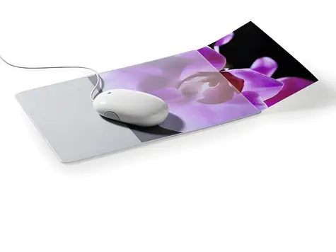 Durable Mouse Pad Plus šedá/transparentní / Podložka pod myš / s kapsou na foto / 300 x 200 mm