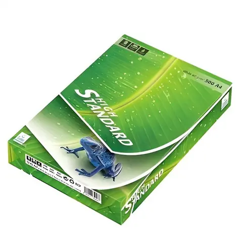 Europapier STANDARD PAPER A5 / Kancelářský papír / 80 g/m2 / 500 listů