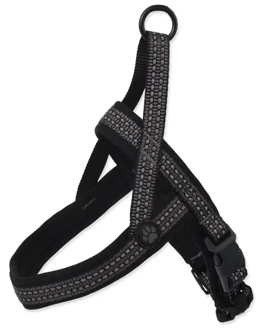 ACTIVE DOG Postroj Neoprene XS šedá / Nastavitelný obvod hrudníku / 1,5x40-45 cm